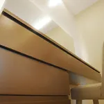 Nile Luxury Appartment